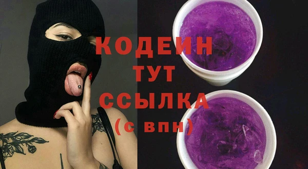 индика Богданович