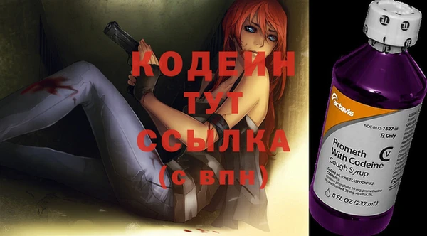 прущие грибы Богородицк