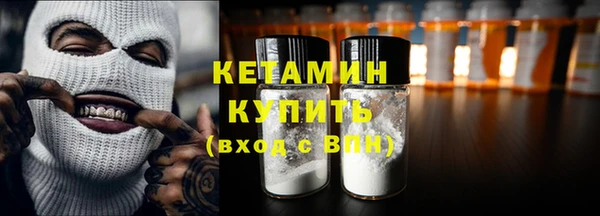 индика Богданович