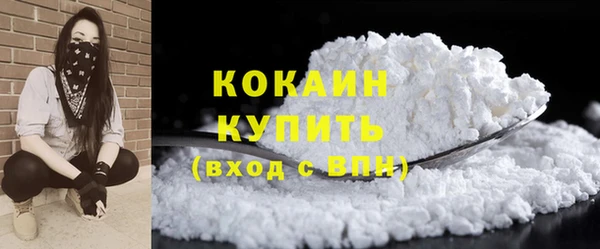 индика Богданович