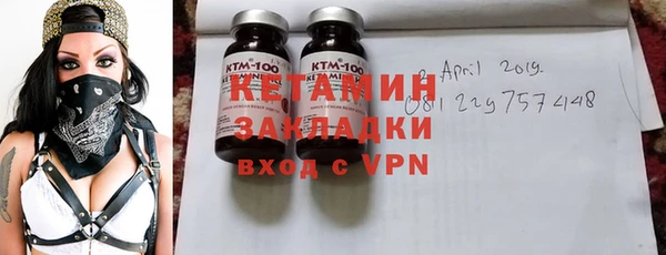 прущие грибы Богородицк