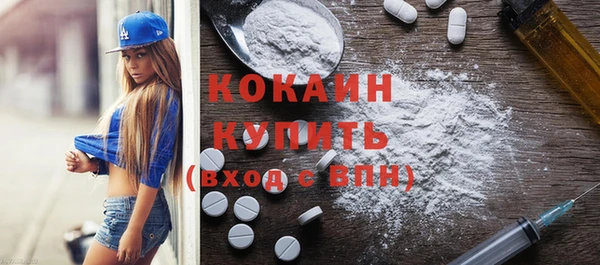 индика Богданович