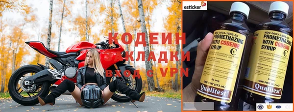 индика Богданович