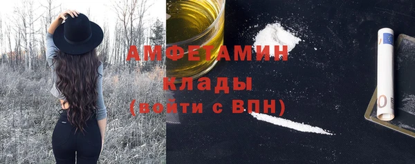 индика Богданович