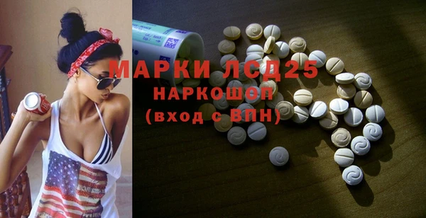 индика Богданович