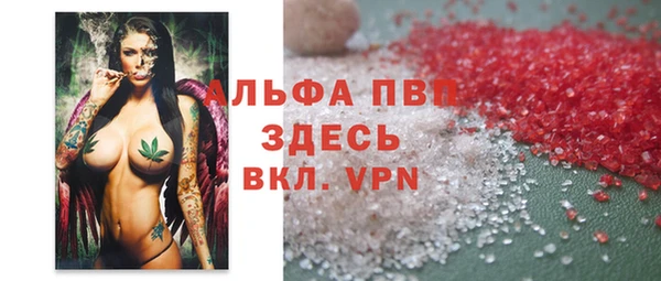 индика Богданович