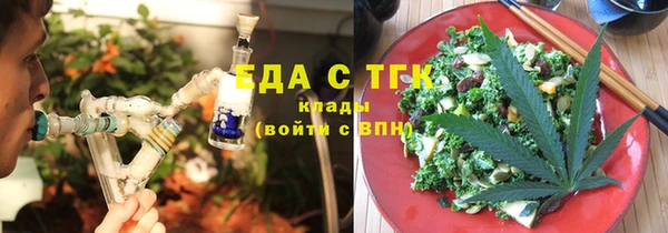 индика Богданович