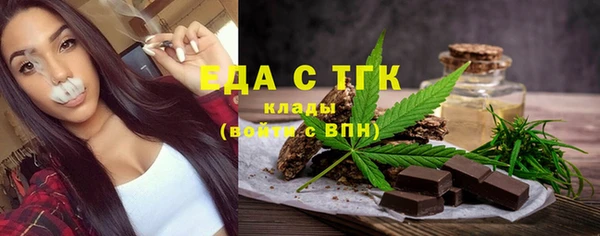 индика Богданович