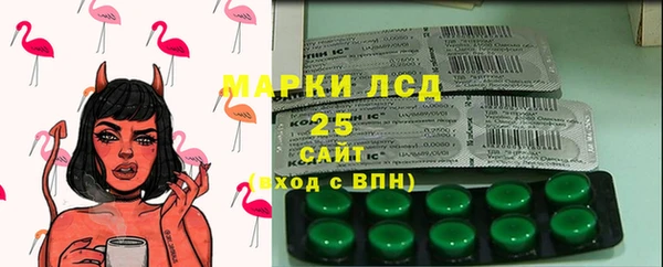 прущие грибы Богородицк