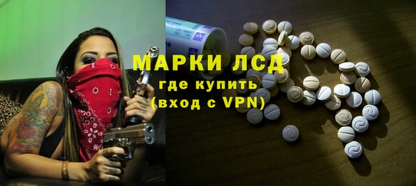 прущие грибы Богородицк