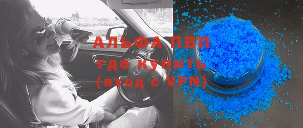 прущие грибы Богородицк