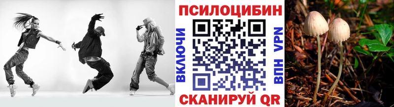 где купить   Мезень  Галлюциногенные грибы мицелий 