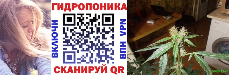 площадка телеграм  Мезень  Шишки марихуана сатива  дарнет шоп 